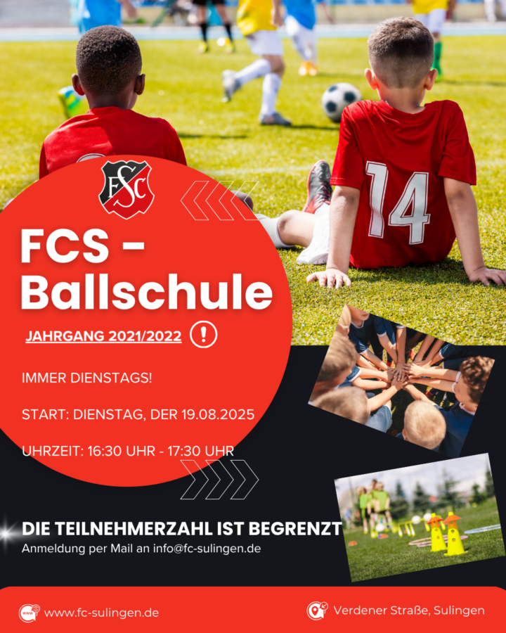 Ballschule - ein Plakat für die Bewerbung